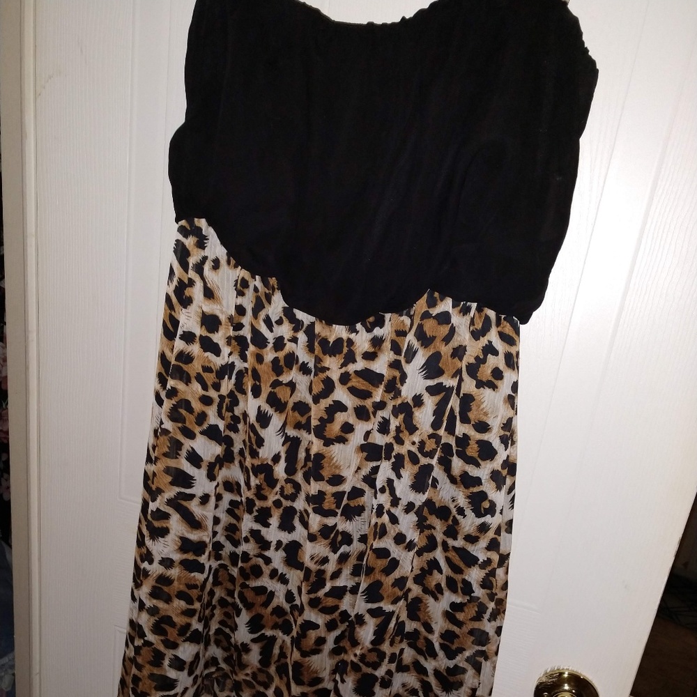 Strapless Trixxi Dress